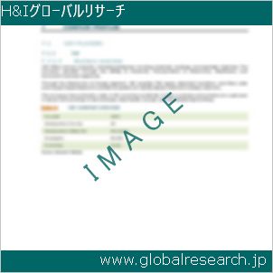 グローバルリサーチ調査レポートのイメージ